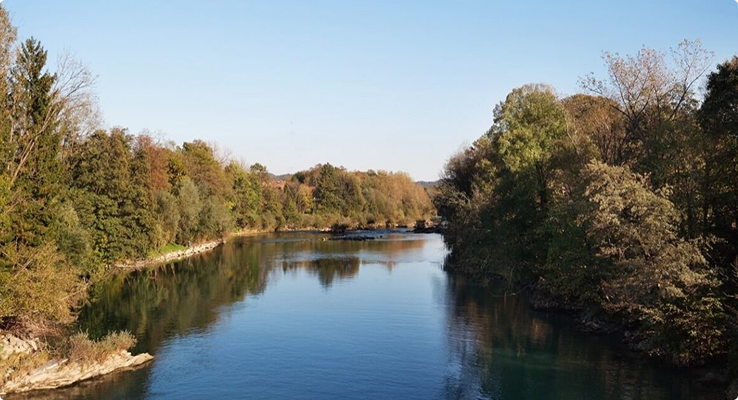 Everyday needs, taken care of in just a few steps